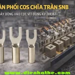 Phân Phối Cos Chĩa Trần SNB – Đấu Dây Đồng Vào Cọc Vít Đúng Kỹ Thuật