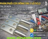 phan-phoi-cos-dong-dai-2-lo