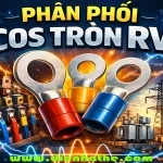 Phân Phối Cos Tròn RV | Đấu Dây Vào Cọc Vít Ổn Định, Đúng Kỹ Thuật
