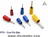 photos-cos-014-ptv-cos-pin-dac