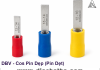 photos-cos-015-dbv-cos-pin-dep