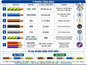 Ý Nghĩa Màu Sắc Dây Điện Theo Tiêu Chuẩn IEC Trong Hệ Thống Điện Hạ Áp